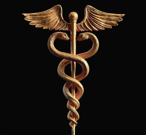 caduceus of hermes with lion|the symbol of hermes.